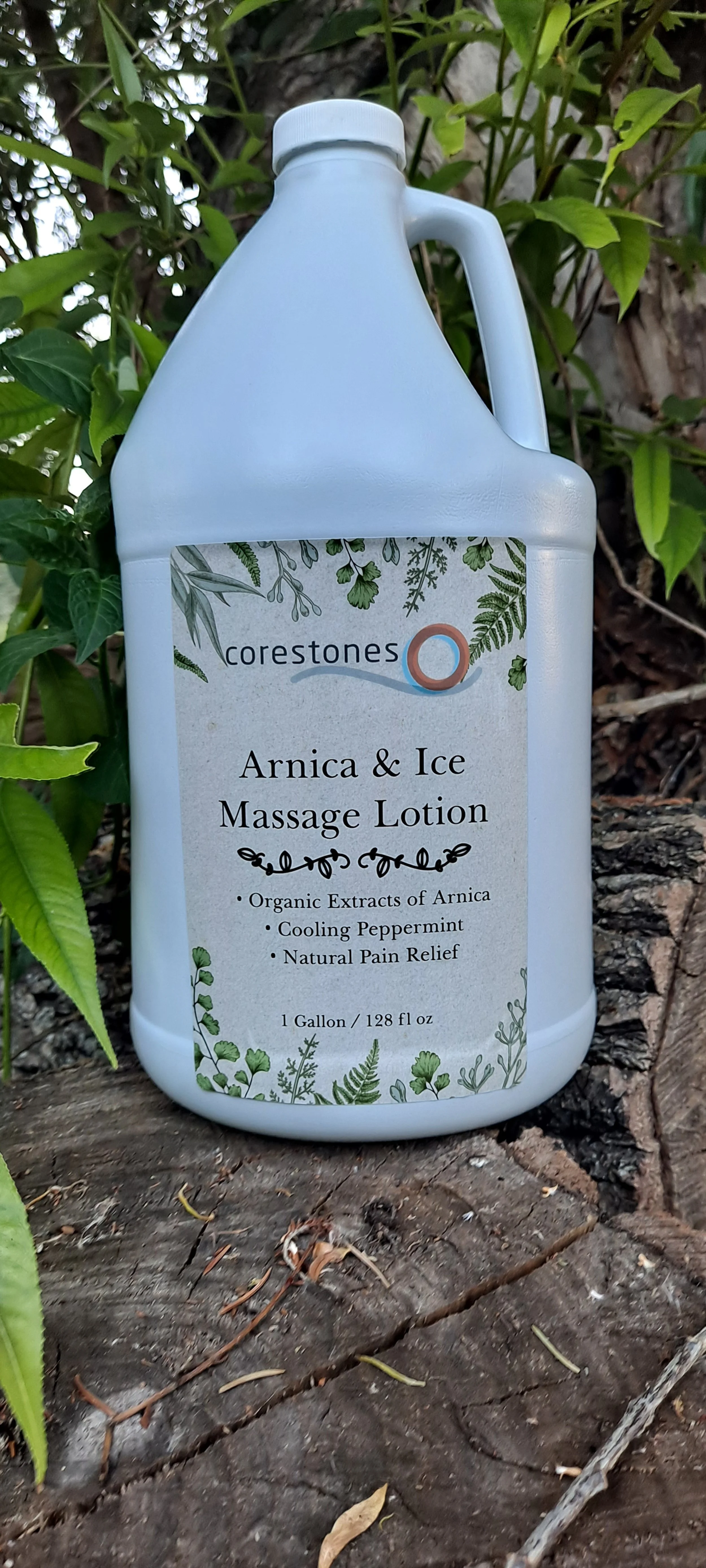 Arnica+and+Ice.jpg?format=1500w